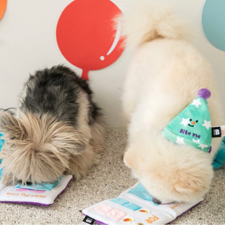 即納 Birthday party card nose work toy