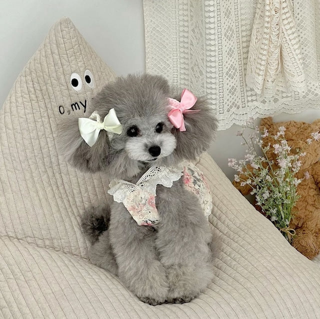 即納 Silky Ear Chouchou 全16色