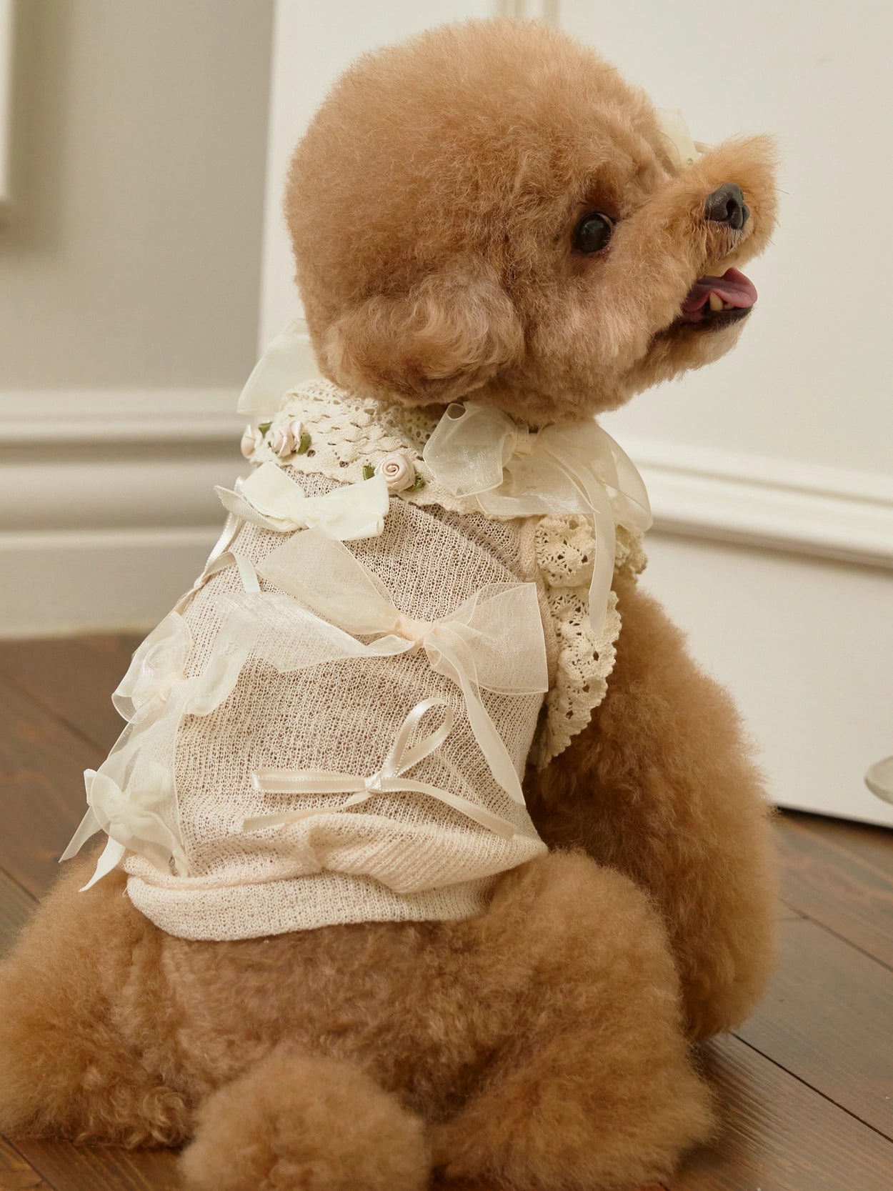 即納 Giselle knit バニラ