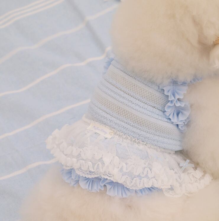 即納 Airish Frill Top ブルー