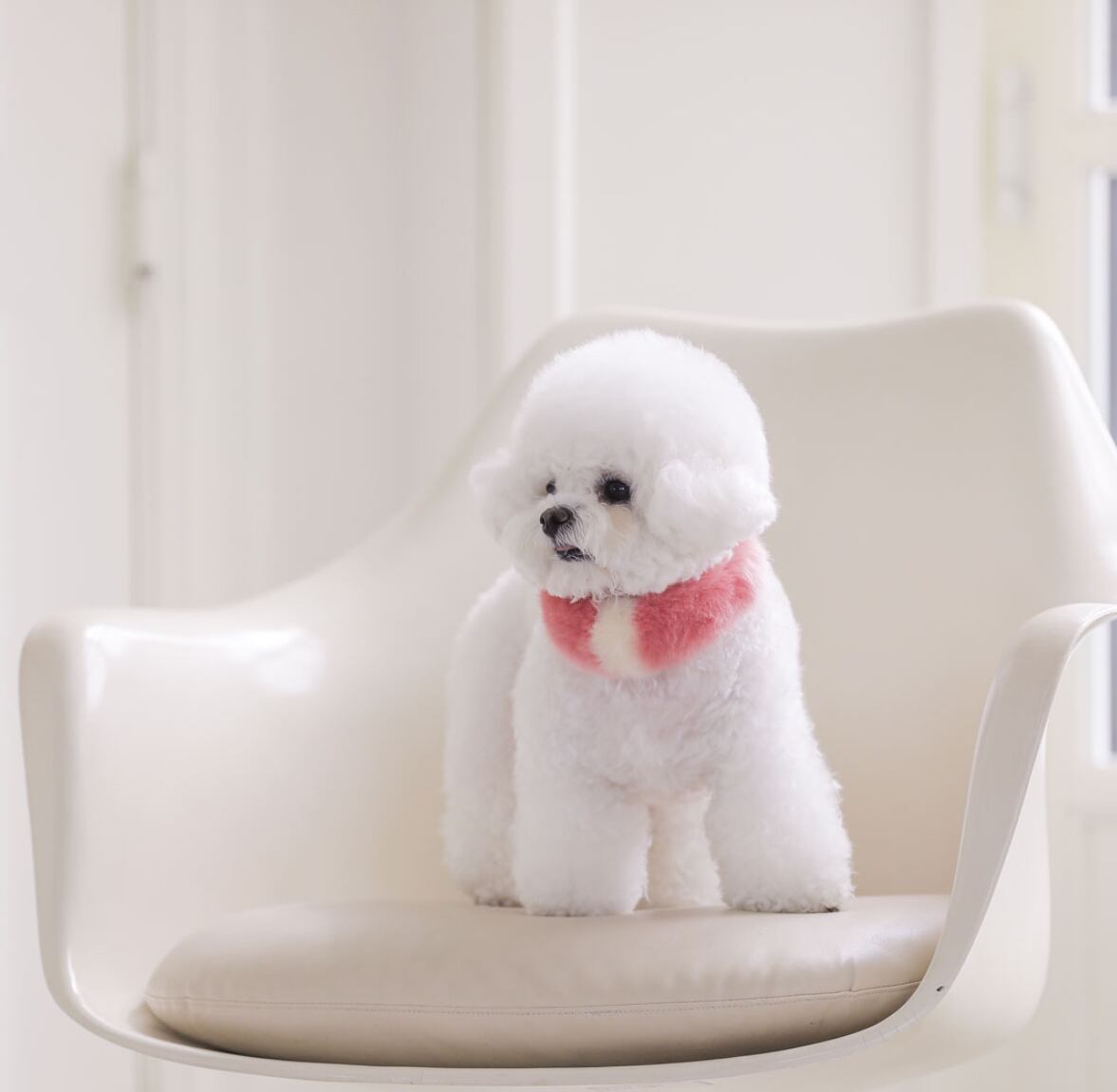 即納 Eco Fur Pompom 全2色