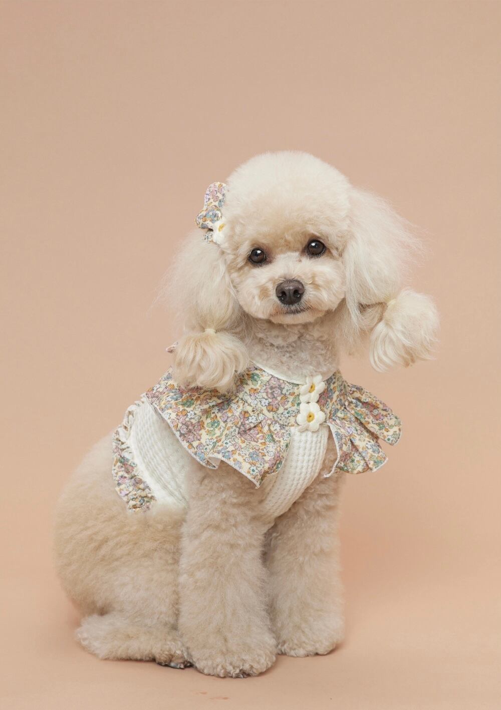 即納 Waffle Daisy Top ベージュ