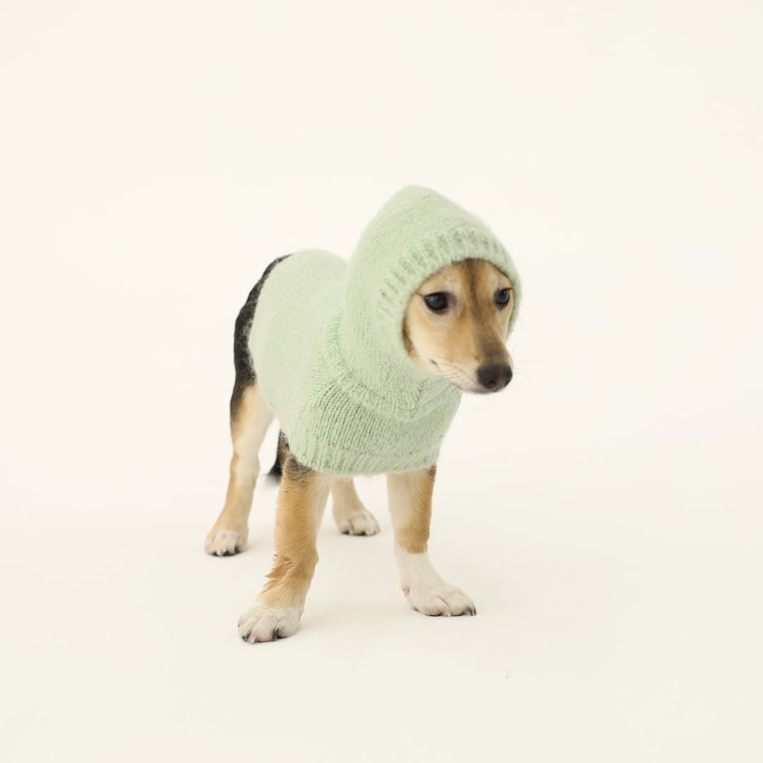 即納 Meoru Hoodie Cape