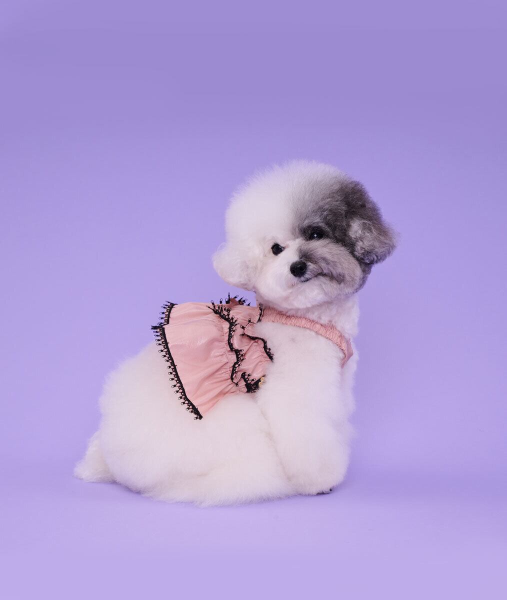 即納 Coco Ruru