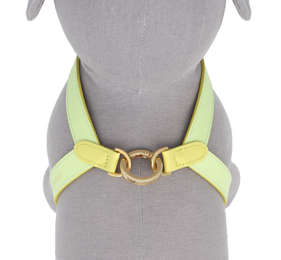 即納 VV Harness 2tone レモン×メロン