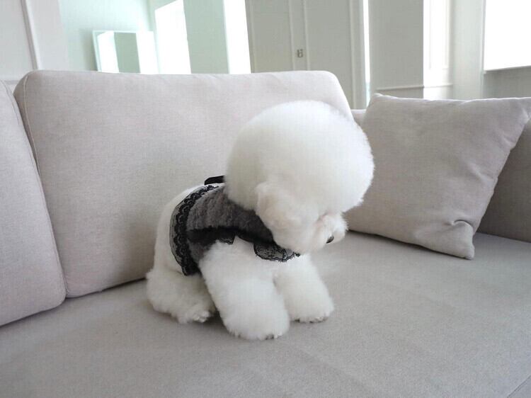 即納 Mink Fur Harness グレー