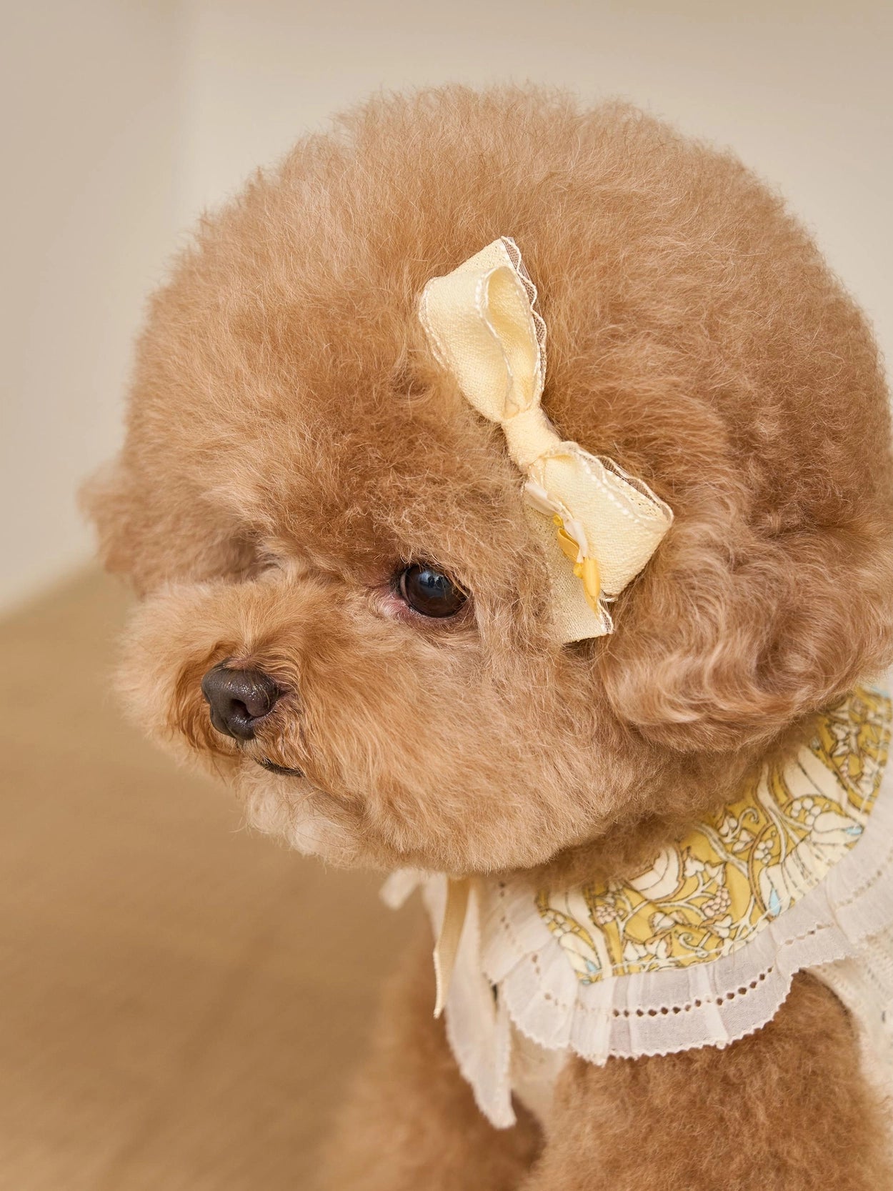 Jardin de Flora Hairpin 全3色