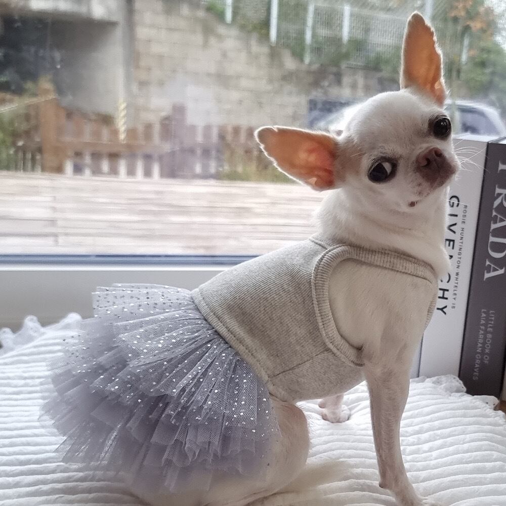 即納 Pure Color Tutu グレーパール