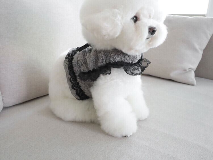 即納 Mink Fur Harness グレー