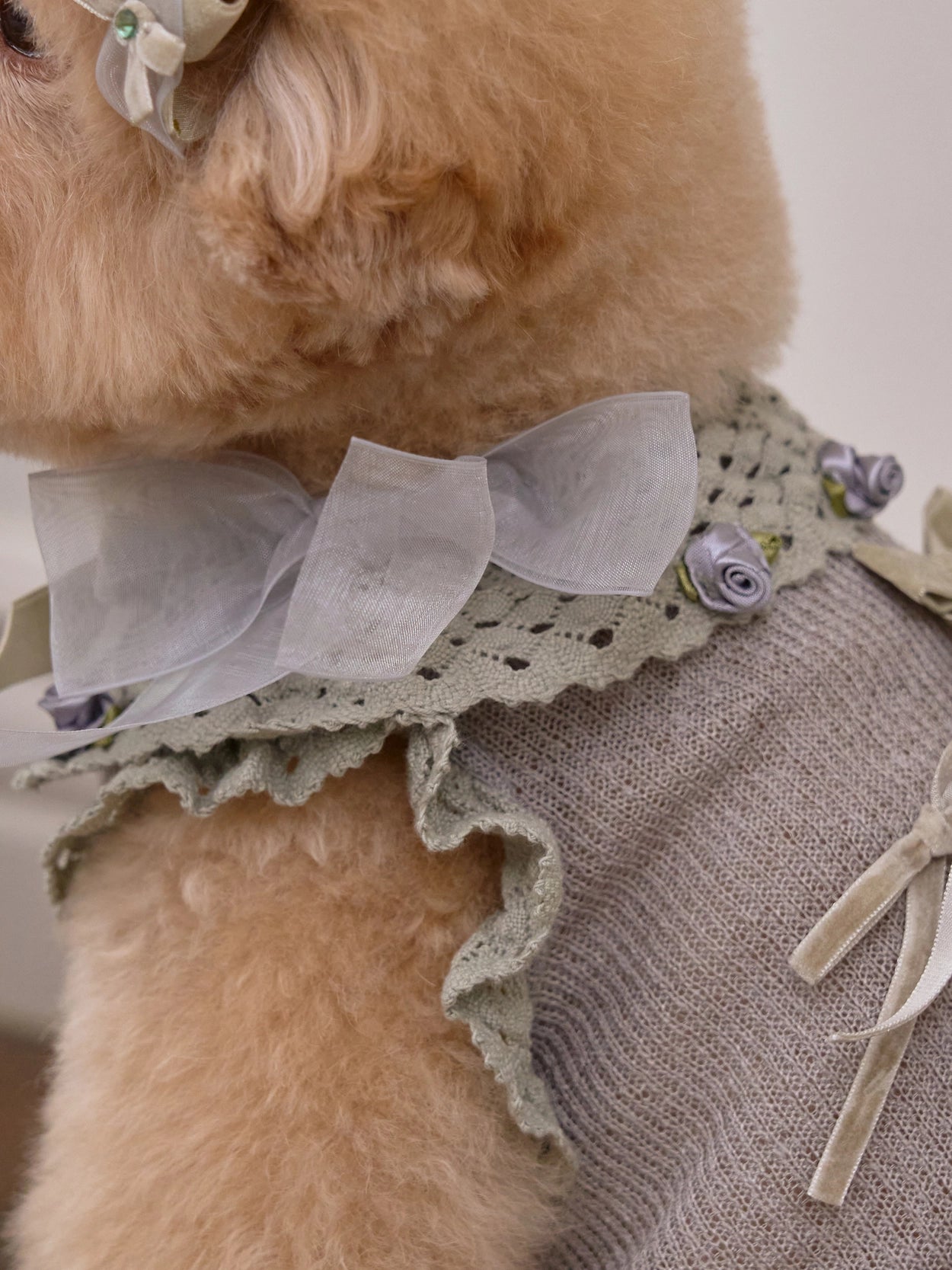即納 Giselle knit オリーブ