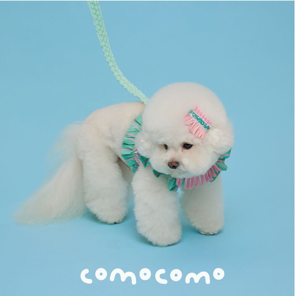 即納 For Garden Leash