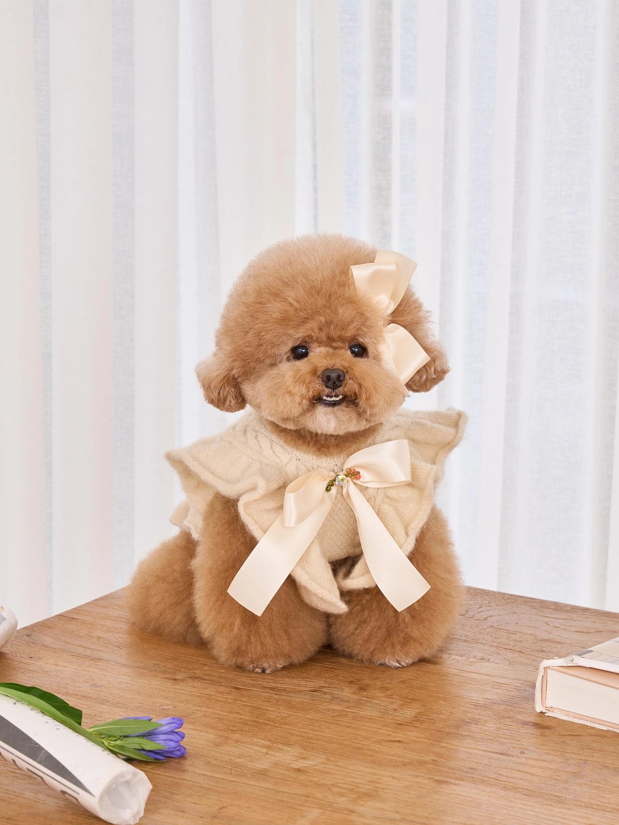 Soft Hug Vest バニラ