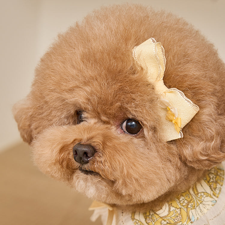 Jardin de Flora Hairpin 全3色