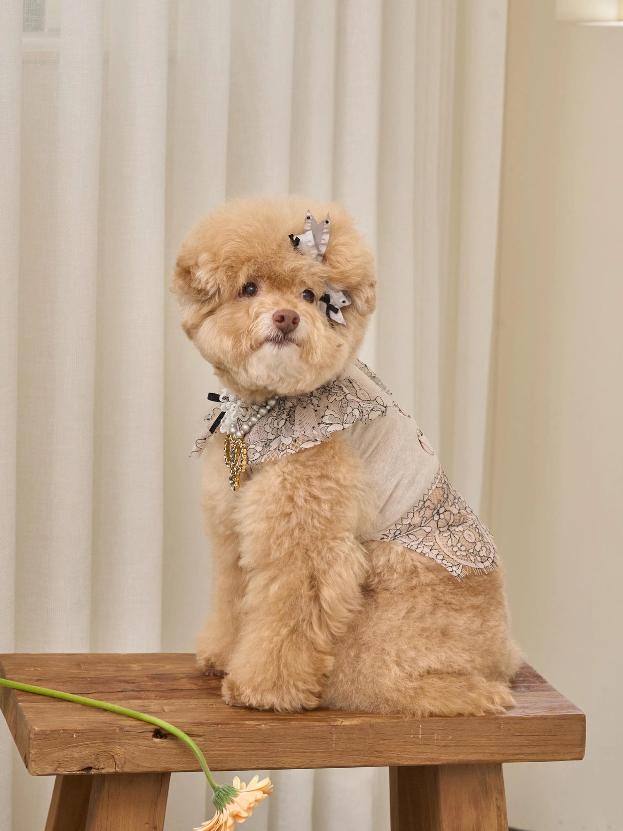 Autumn Breeze T-shirt 全3色