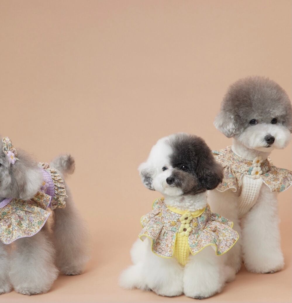 即納 Waffle Daisy Top ベージュ