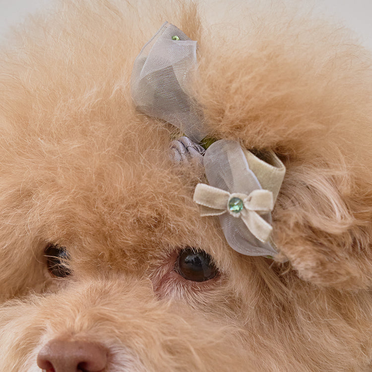 Giselle Rose Pin 全3色