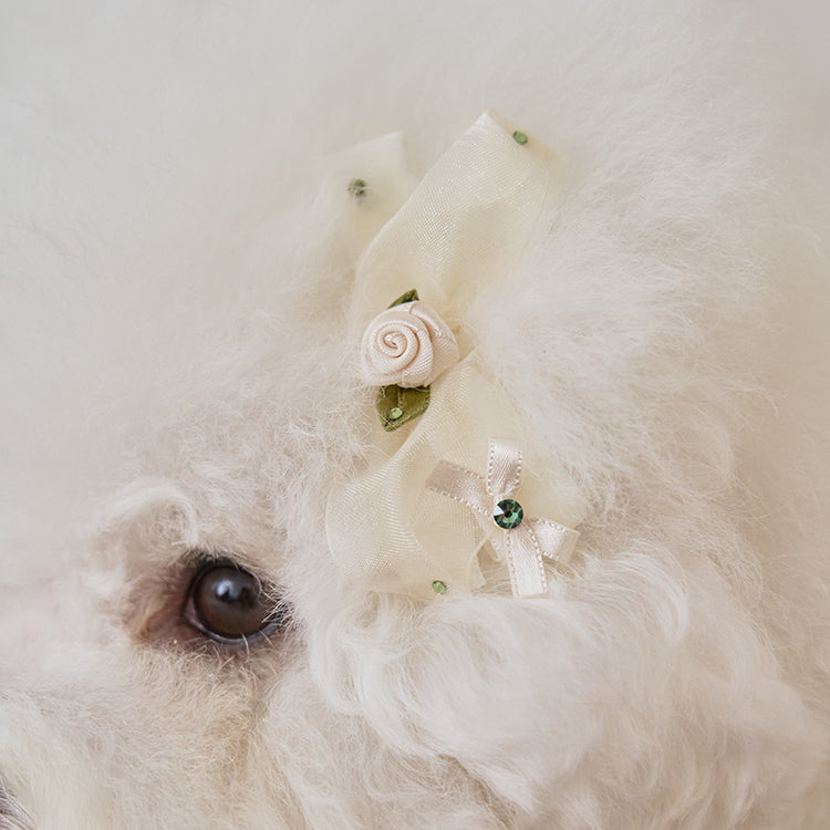 Giselle Rose Pin 全3色