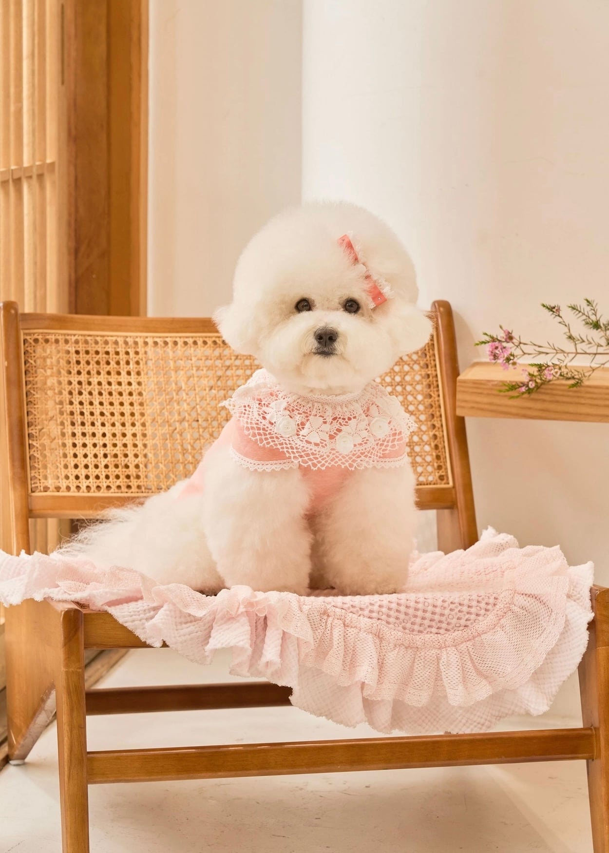 即納 Blanc Rose T ピーチ