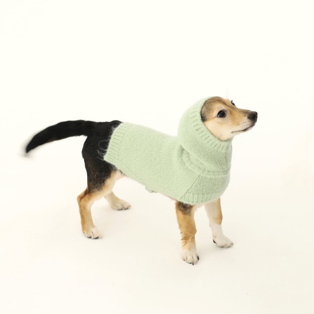 即納 Meoru Hoodie Cape