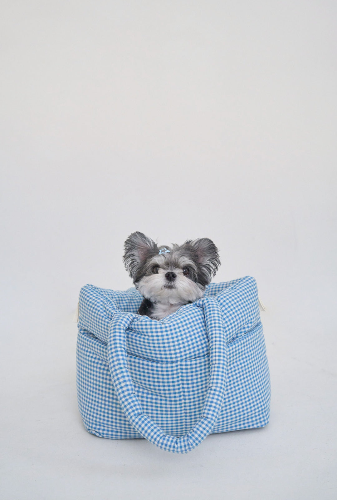 Wide Bag プレイドブルー