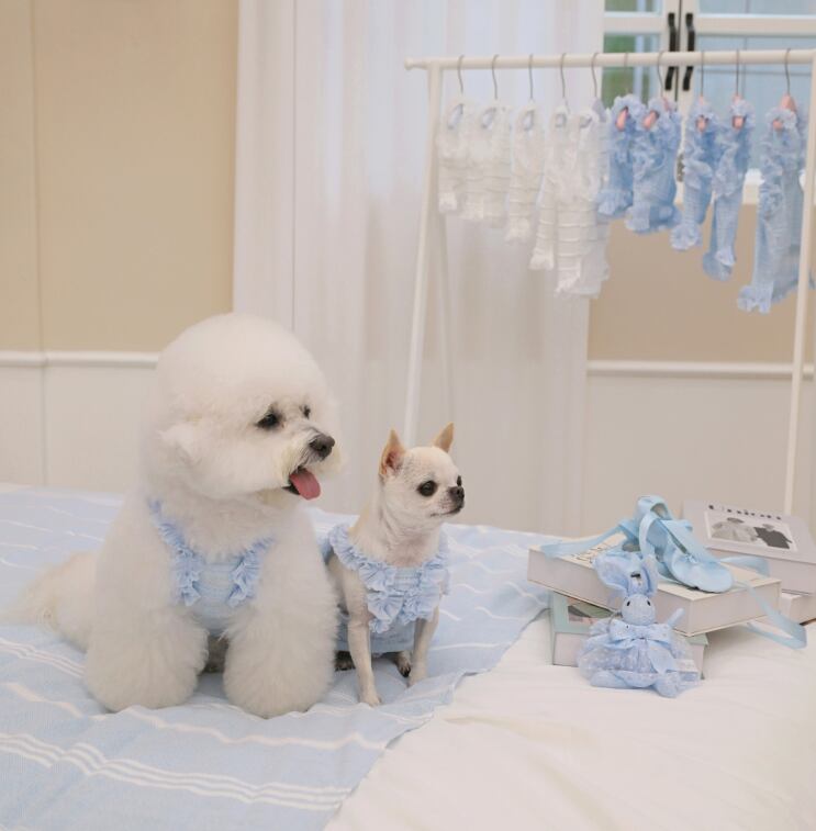 即納 Airish Frill Top ブルー
