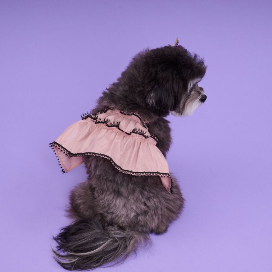 即納 Coco Ruru