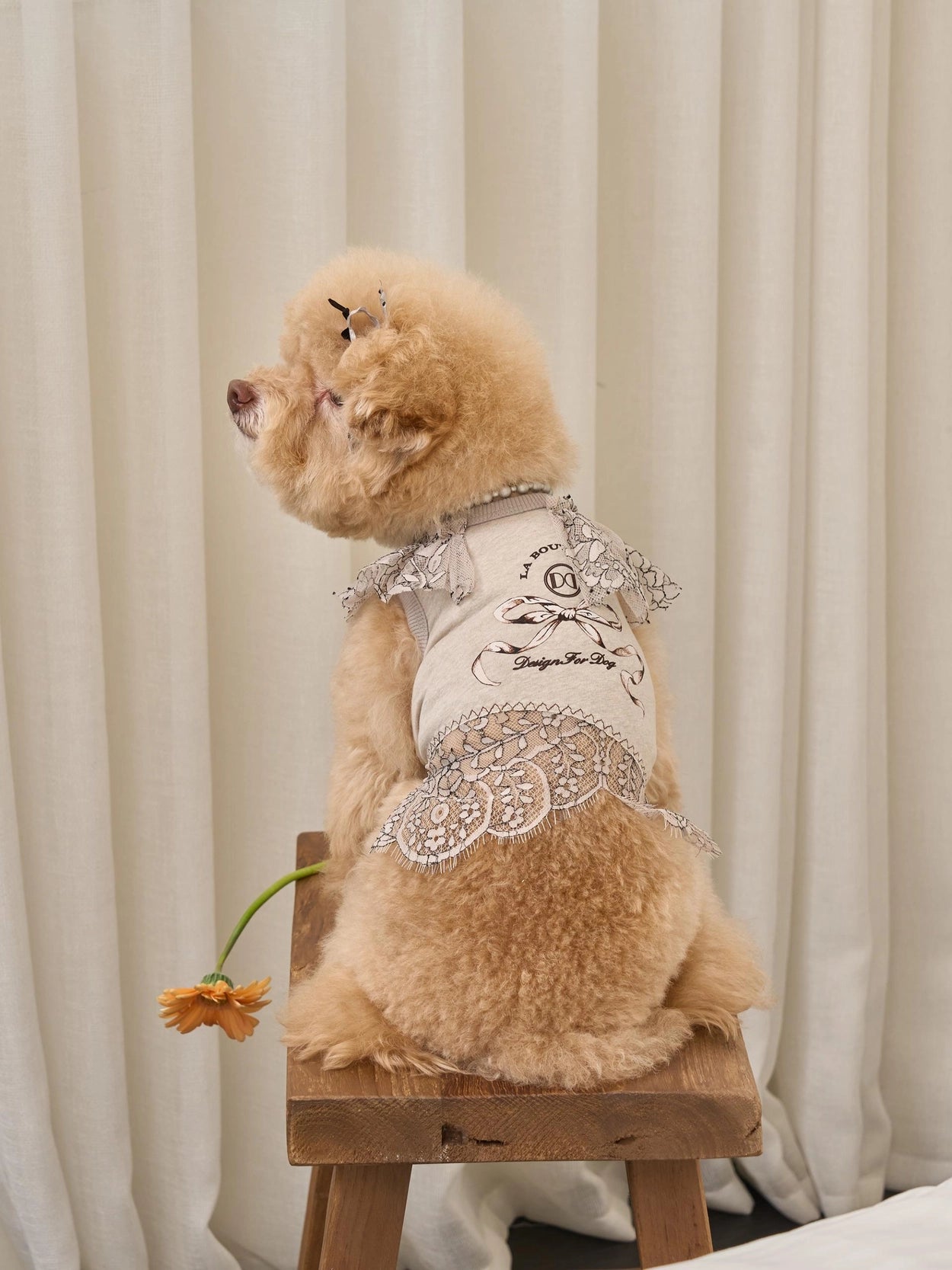Autumn Breeze T-shirt 全3色