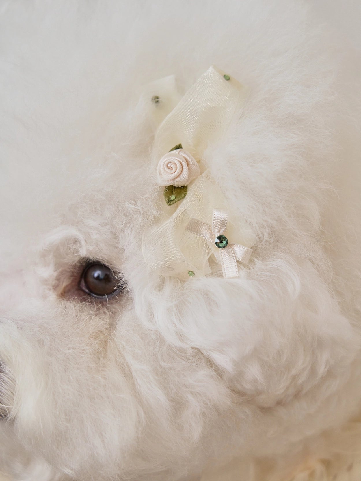 Giselle Rose Pin 全3色