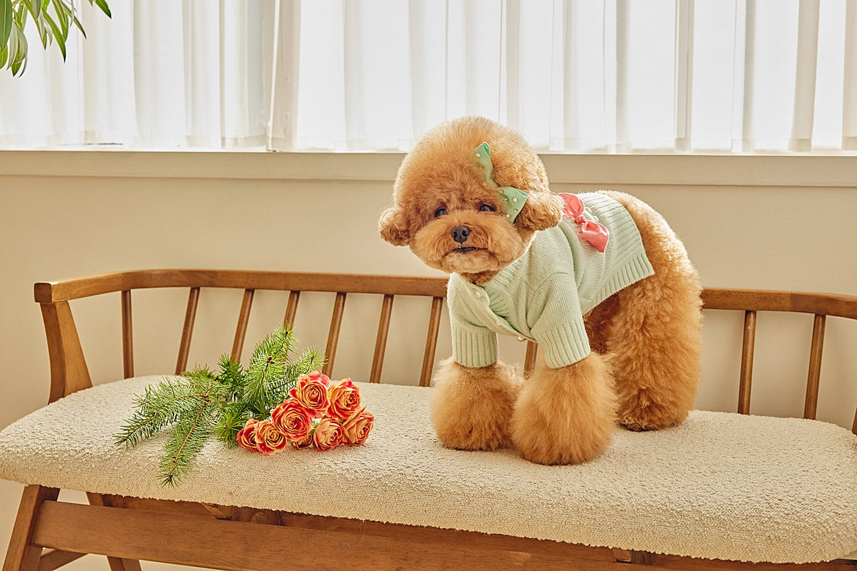 即納 Baby Ribbon Cardigan ミント
