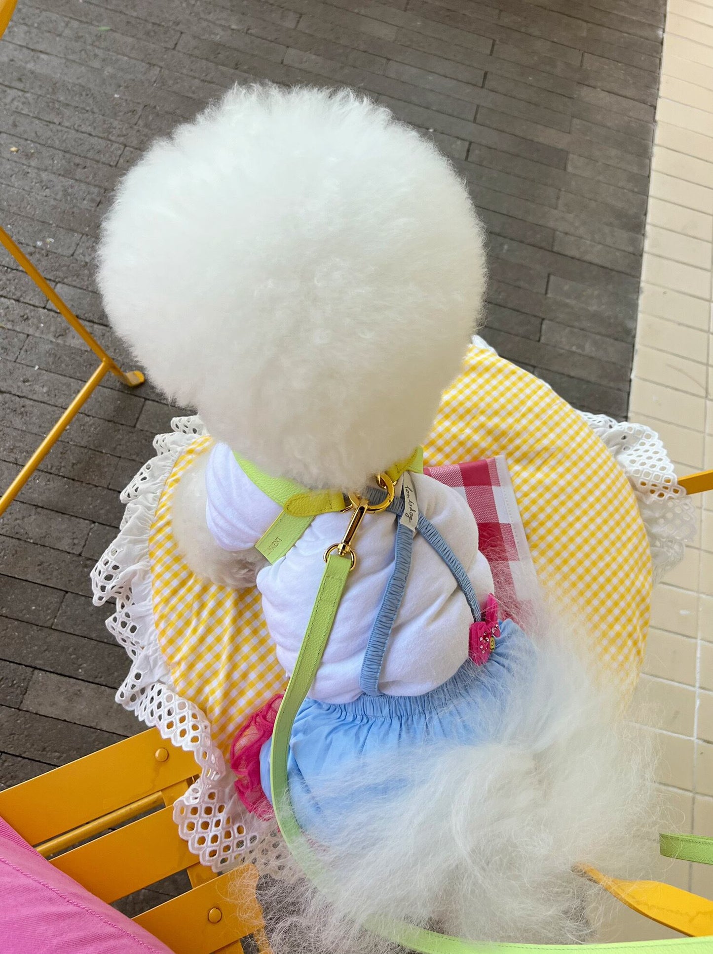 即納 VV Harness 2tone レモン×メロン