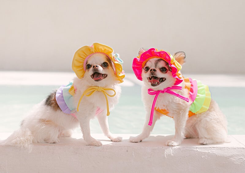 即納 Lolipop Swim Cap 全3色