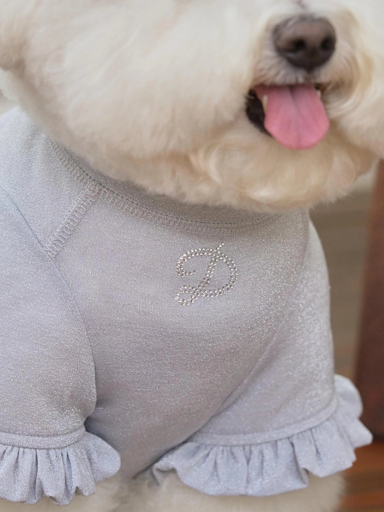 Crystal T-Shirt & Brooch シルバー