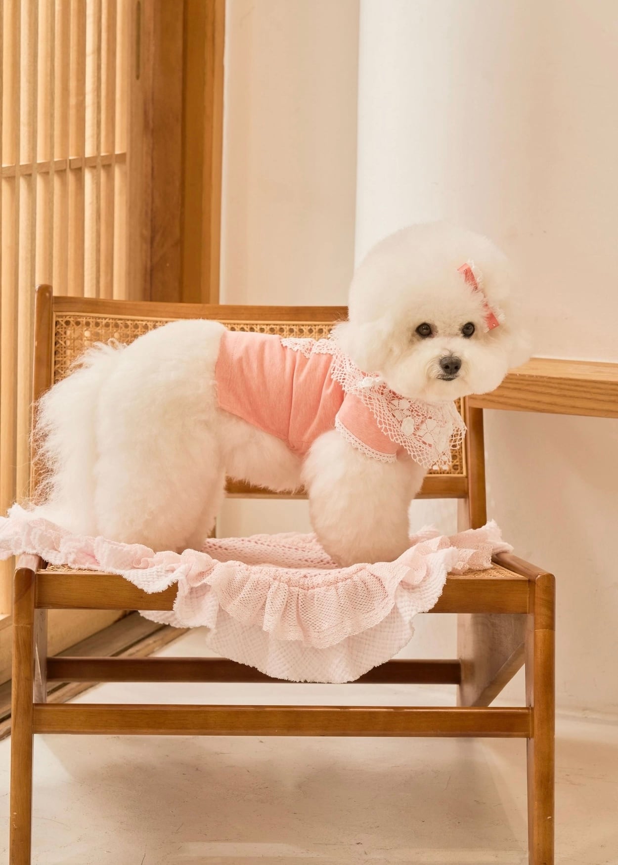 即納 Blanc Rose T ピーチ