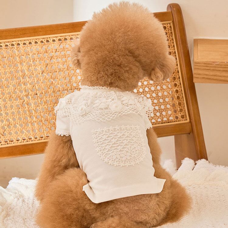 即納 Blanc Rose T ホワイト