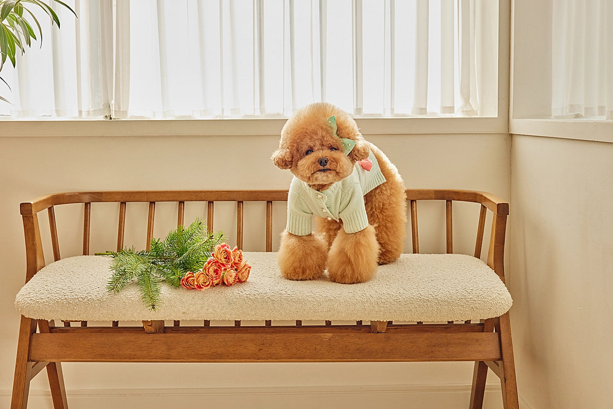 即納 Baby Ribbon Cardigan ミント