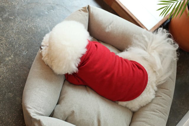 即納 Soft Long Turtleneck レッド