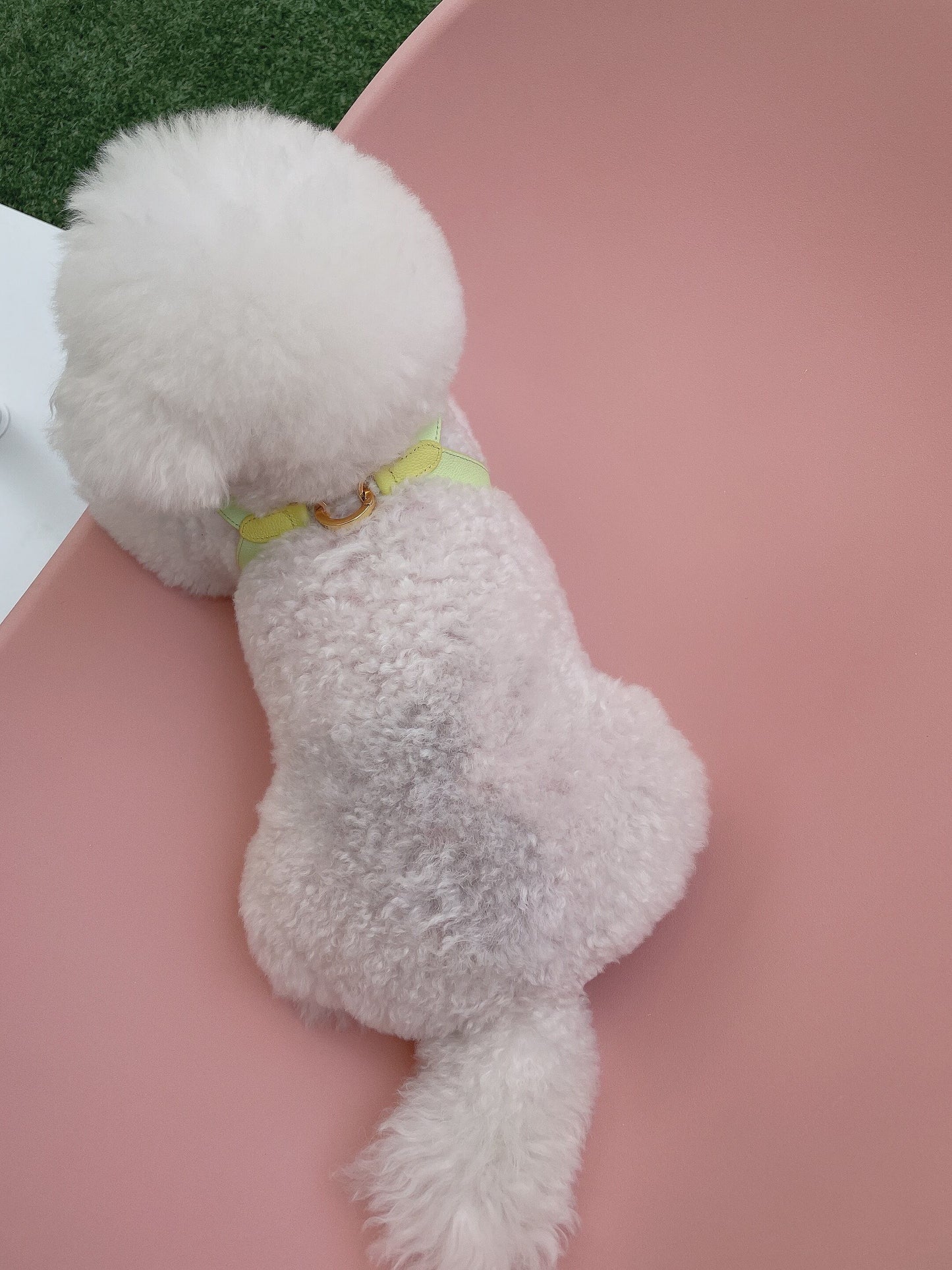 即納 VV Harness 2tone レモン×メロン