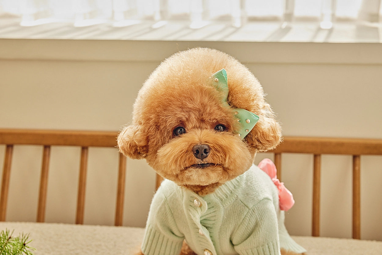 即納 Baby Ribbon Cardigan ミント