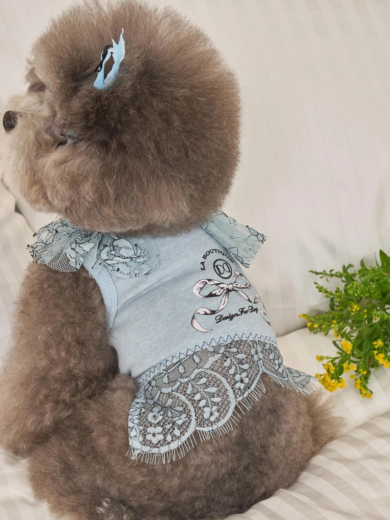 Autumn Breeze T-shirt 全3色