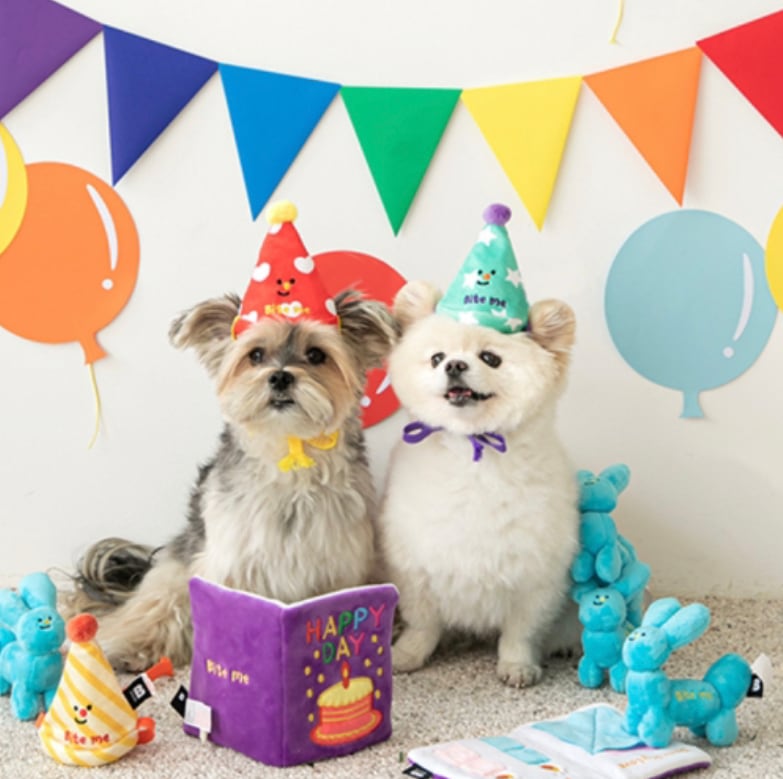 即納 Birthday party card nose work toy