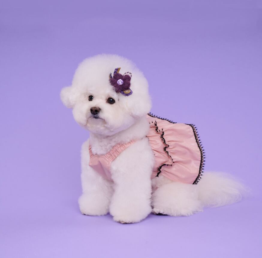 即納 Coco Ruru