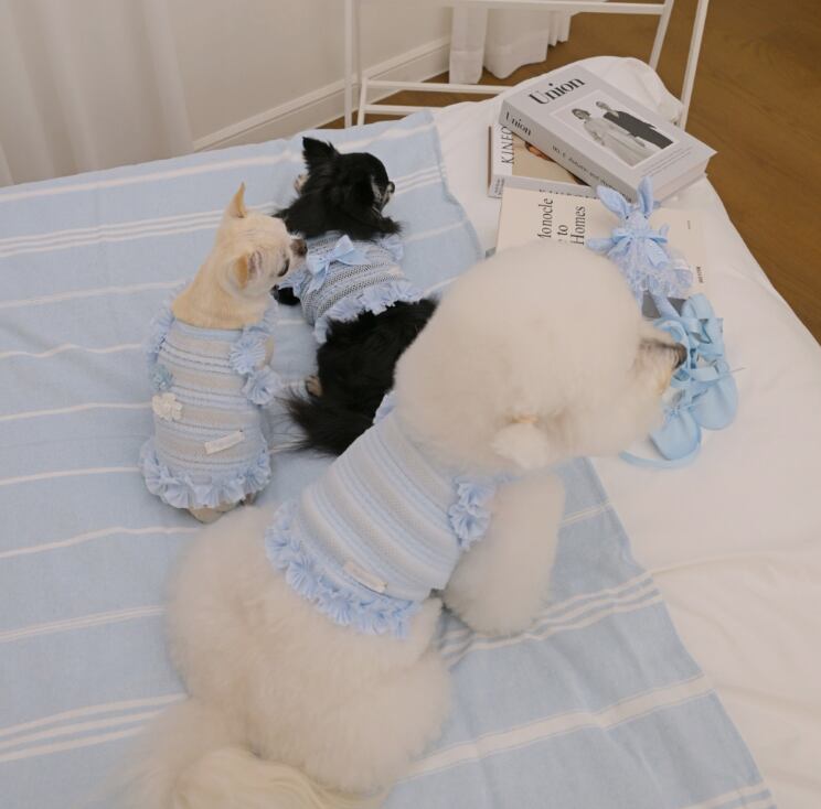 即納 Airish Frill Top ブルー