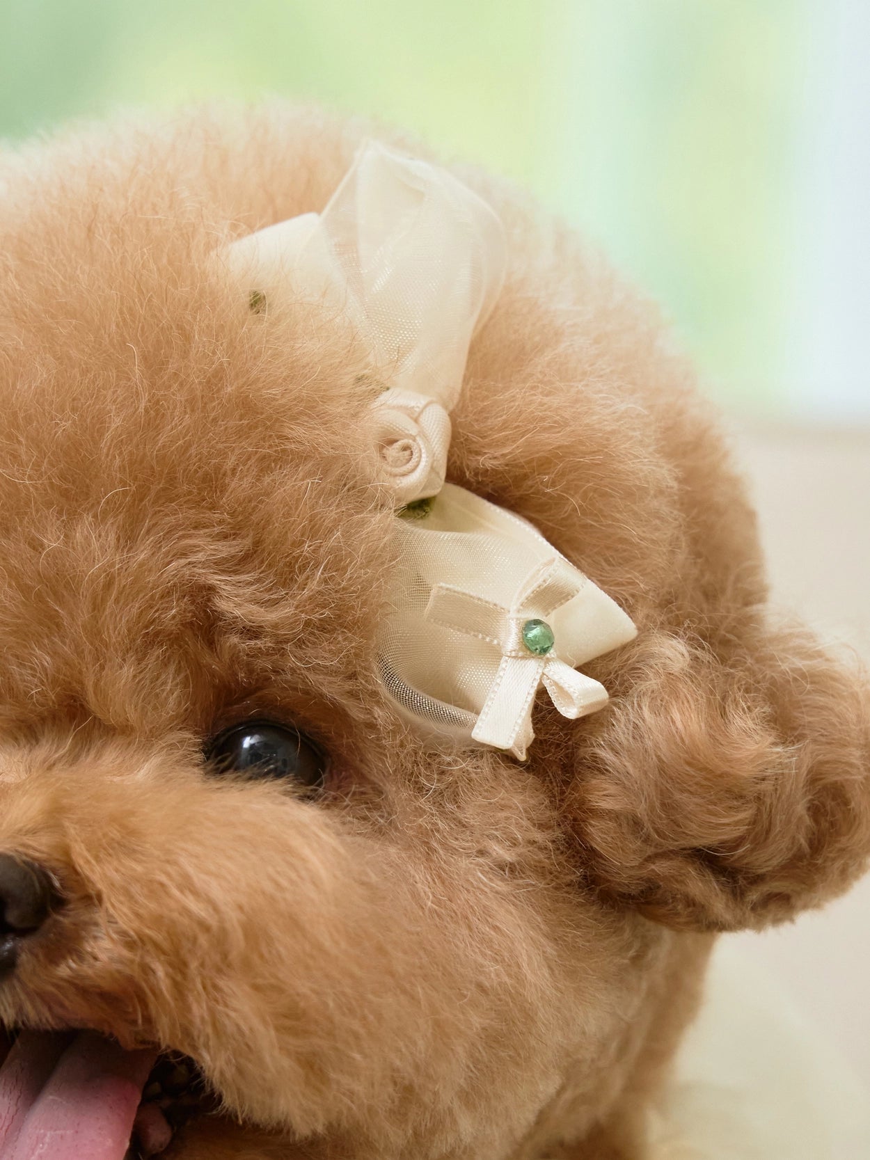 Giselle Rose Pin 全3色