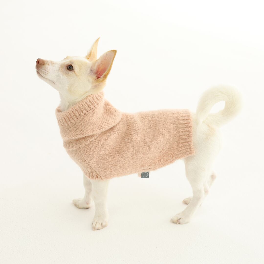 即納 Seolgi Hoodie Cape