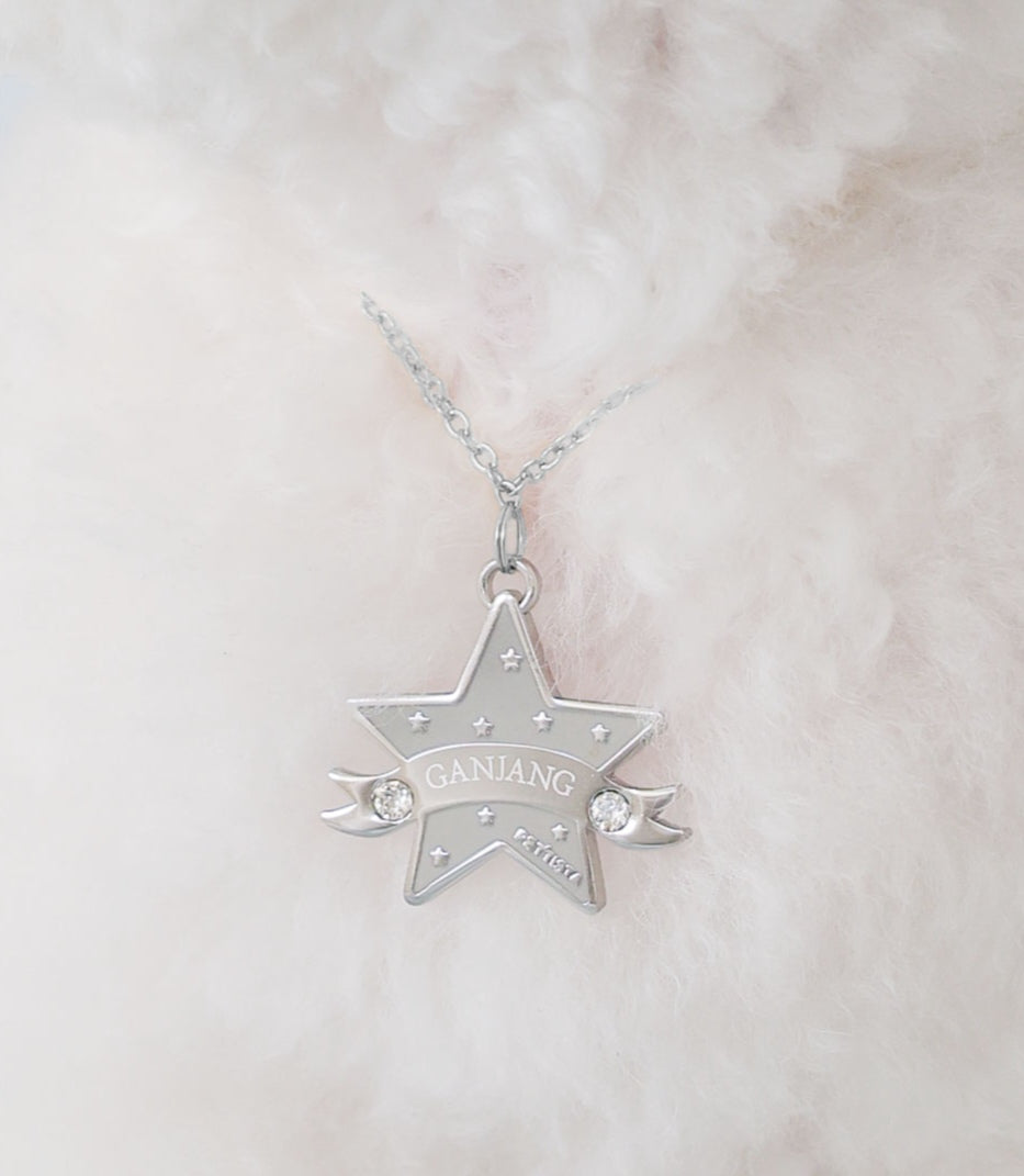 You Are My Star Necklace【迷子札】グレー