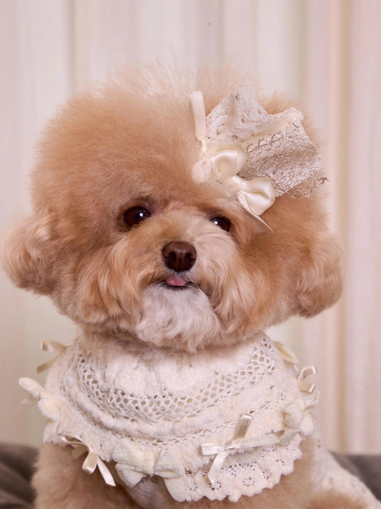 Lace Garden Dress 全3色