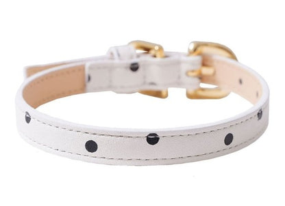 Bloom Collar【迷子札】ポルカドット ホワイト