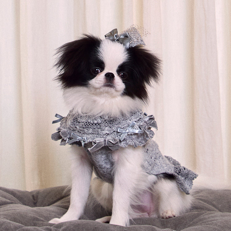 Lace Garden Dress 全3色