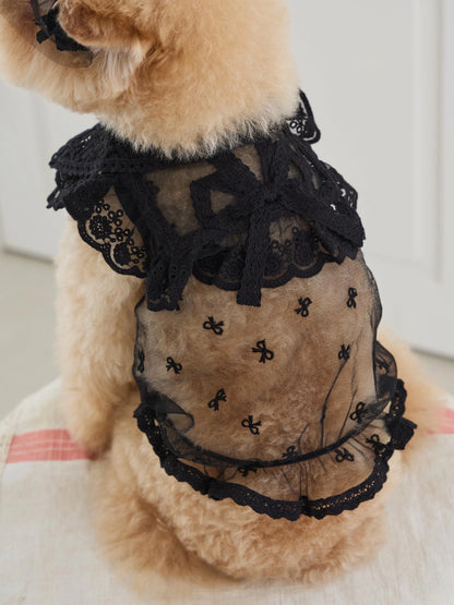 Sweetie Bebe Dress 全3色