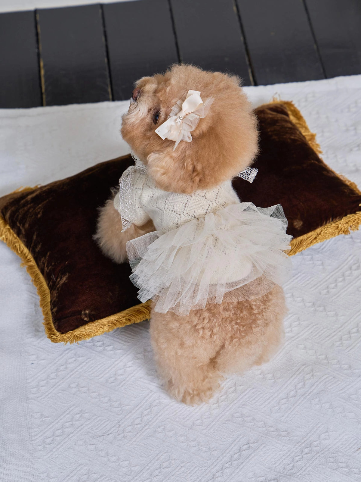 Patissier Tutu Dress 全3色